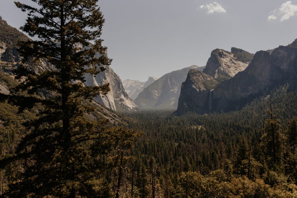 Yosemite - Foto Pexels @Anna Elizabeth