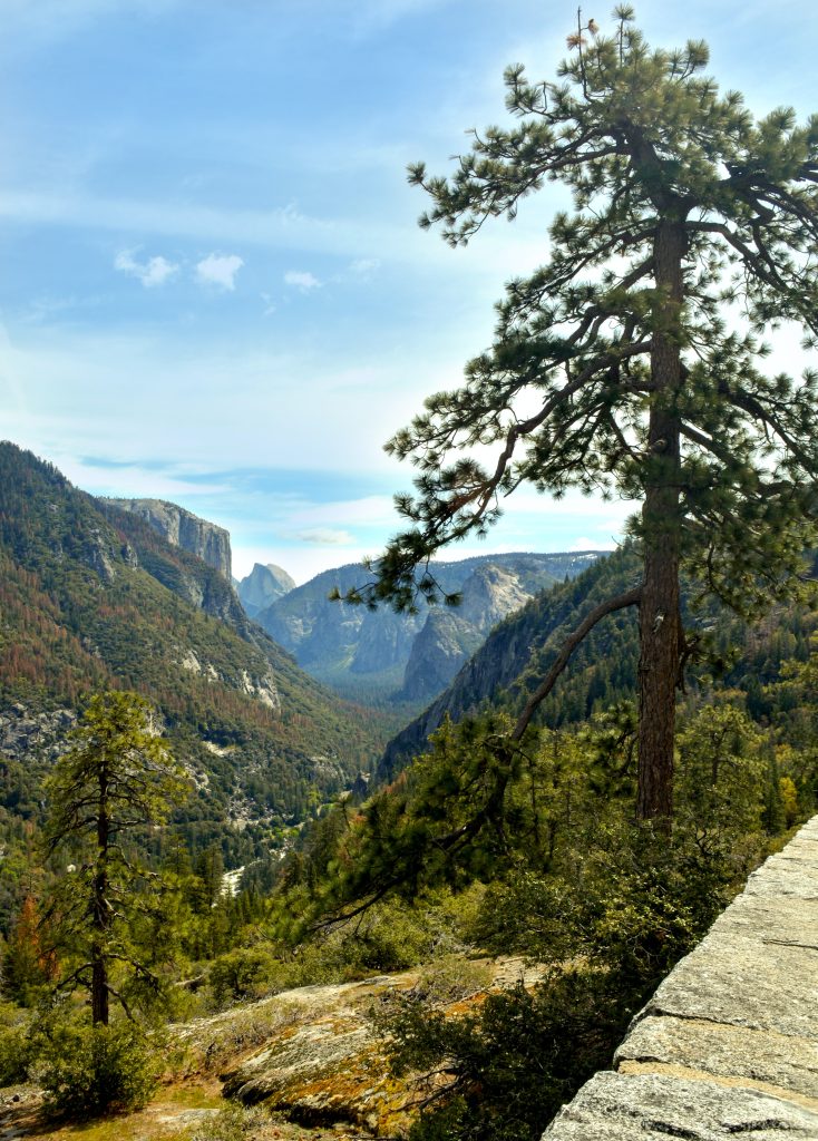 Yosemite - Foto Pexels @Suraj Mali