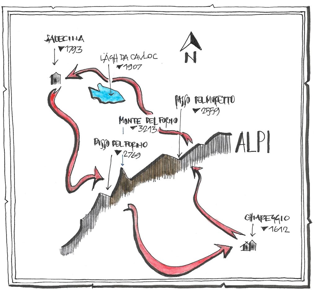 Immagine Michele Comi