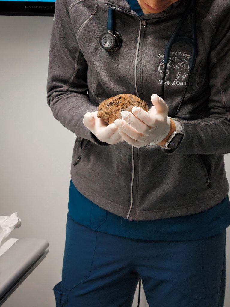 © Government of Yukon