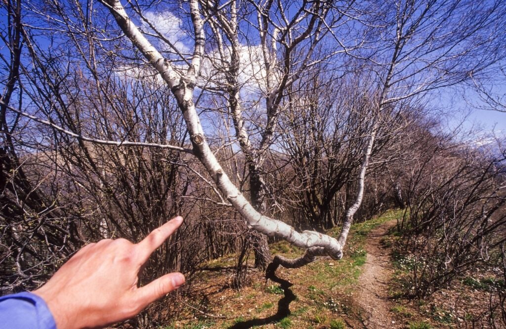 Durante il percorso. Foto Cesare Re