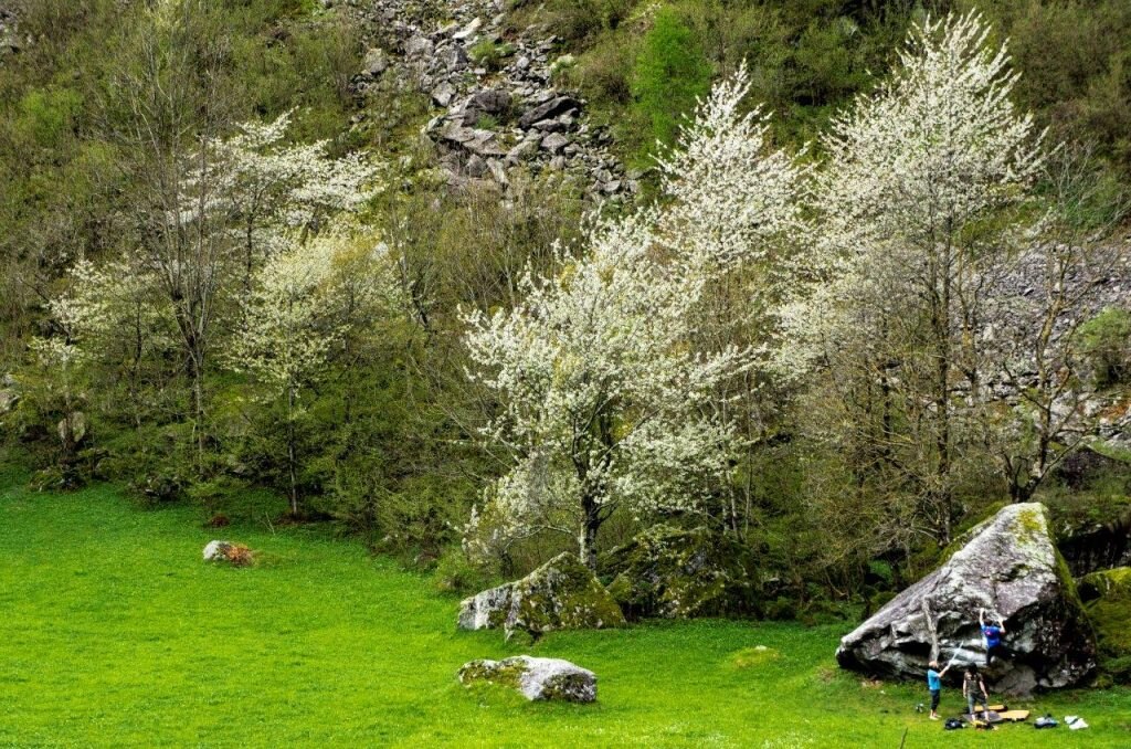 Il panorama. Foto Claudio Piscina