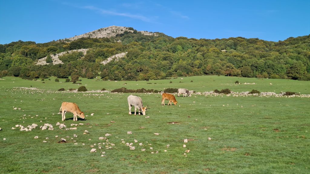 Il Monte Gennaro dal Pratone. Foto Stefano Ardito