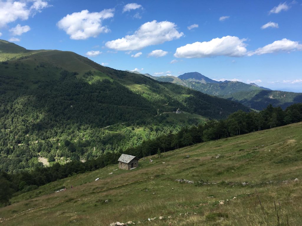 Oasi Zegna, Bocchetto Sessera - Foto Wikimedia Commons @Chiara1993