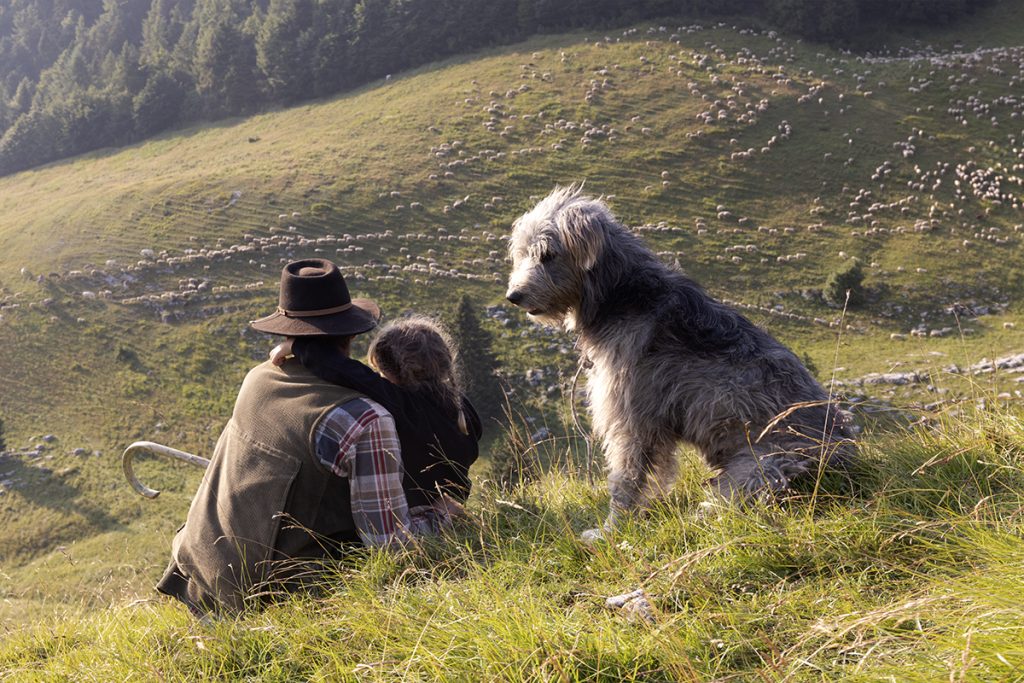 Lupo uno (Proieizoni Speciali 71 TFF)