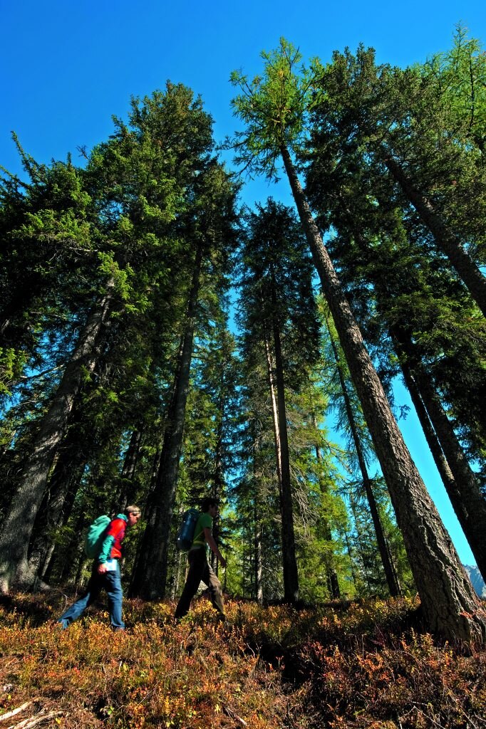 Lungo il sentiero dal Rifugio Bedole al "Bivacco dei Pionieri", Val Genova. Foto Livio Piatta