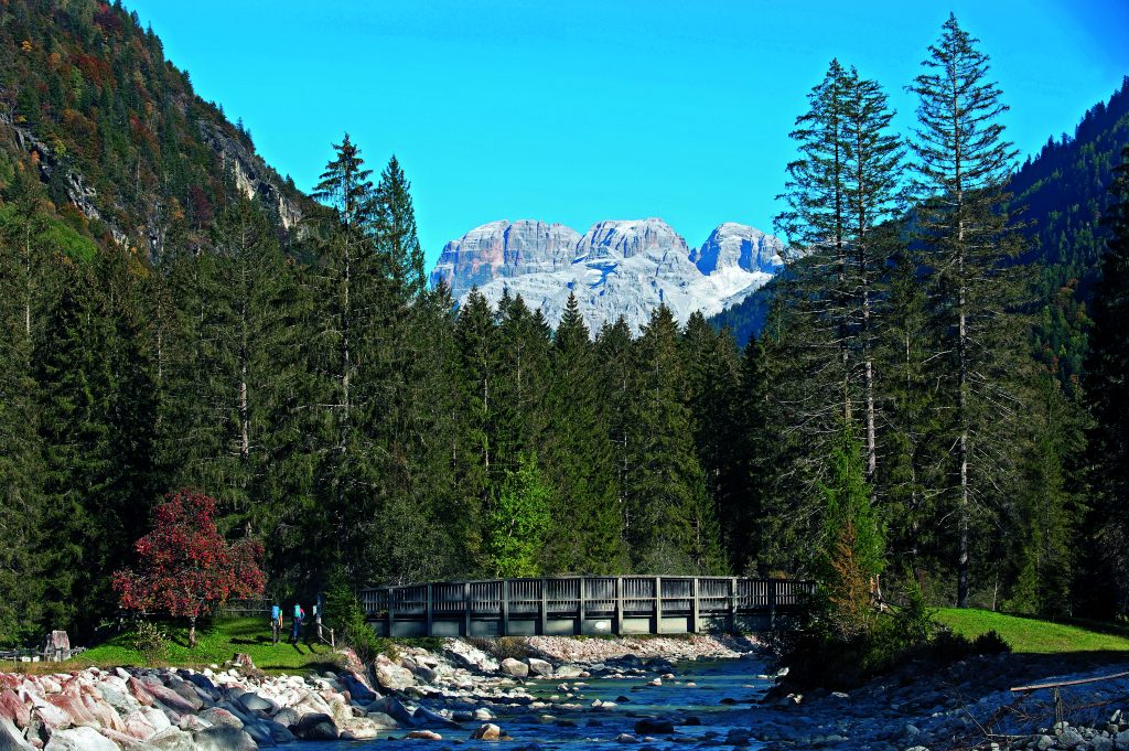 Fiume Sarca in Val Genova, nel Parco Naturale Adamello Brenta. Foto Livio Piatta