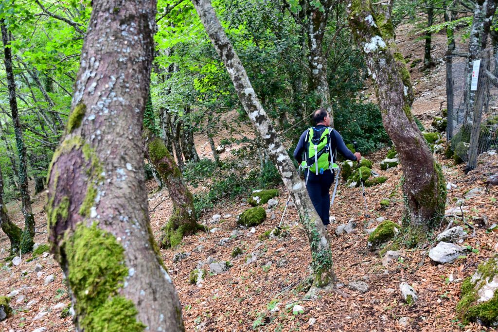 Tra il Pratone e il Monte Gennaro. Foto Stefano Ardito