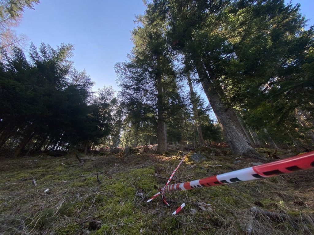 Foto Ufficio Stampa Provincia Autonoma di Trento
