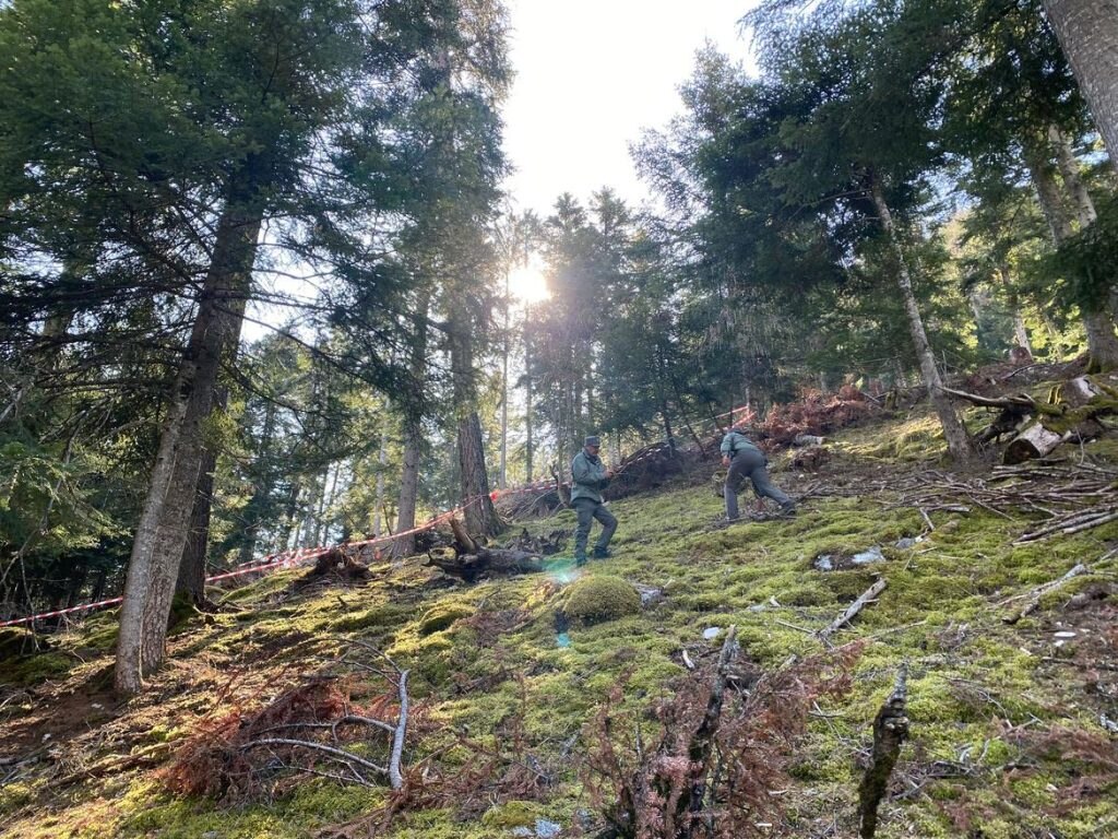 Foto Ufficio Stampa Provincia Autonoma di Trento