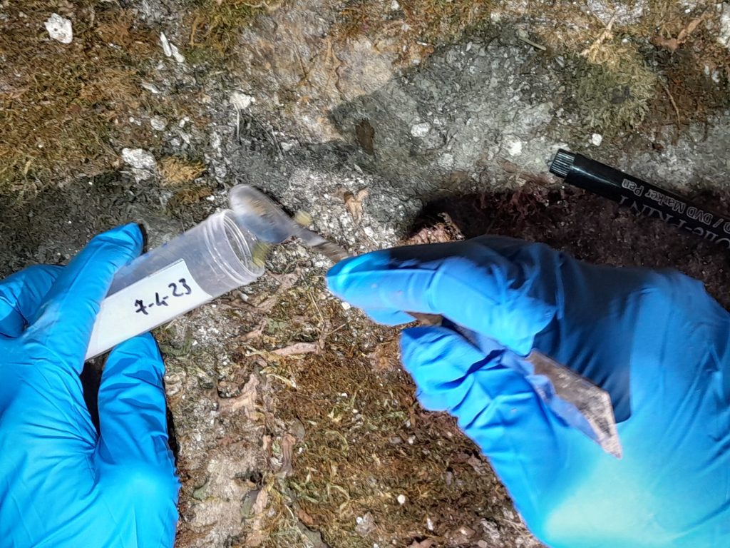 Campionamenti nella Grotta dei Demoni - Foto di Davide Peluzzi e Paolo Cocco