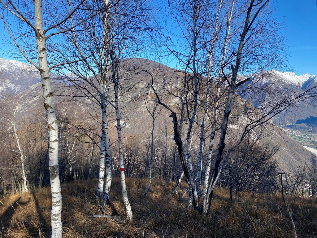 Salendo al Brancot verso monte San Simeone. Foto Melania Lunazzi