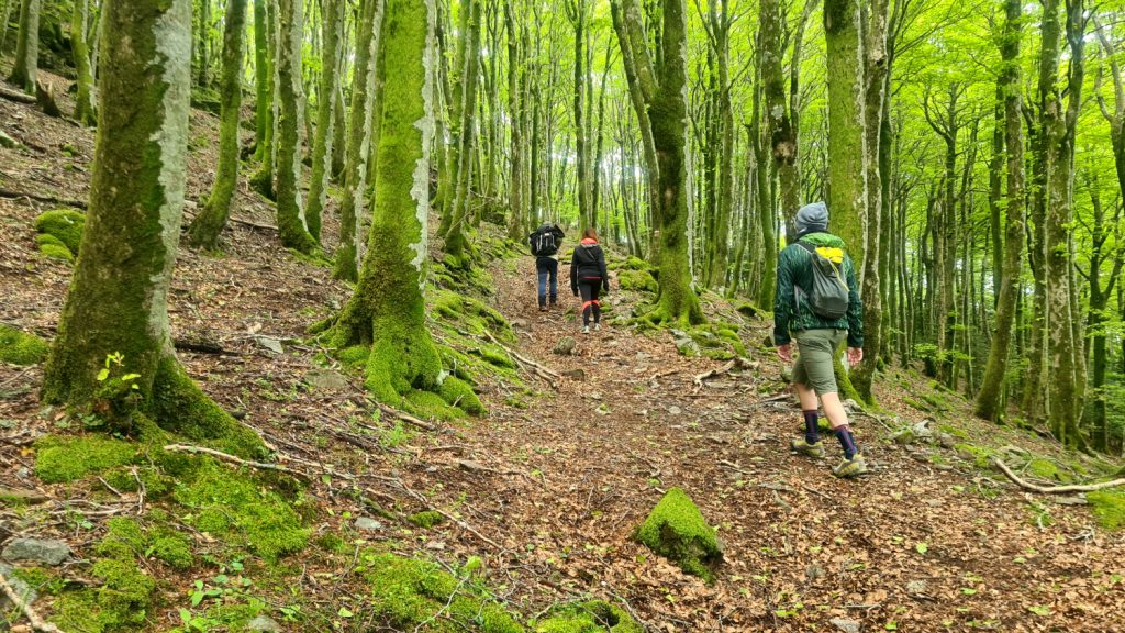 Aspromonte, salita al Monte Misafumera. Foto Stefano Ardito