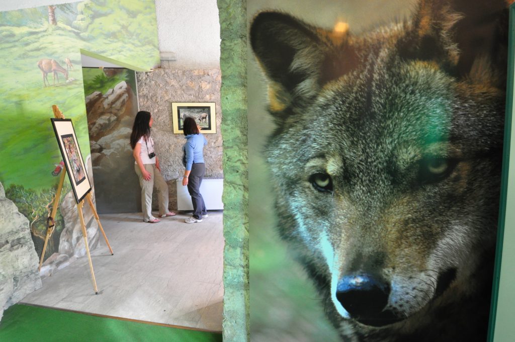 Museo del Lupo a Civitella Alfedena. Foto Stefano Ardito
