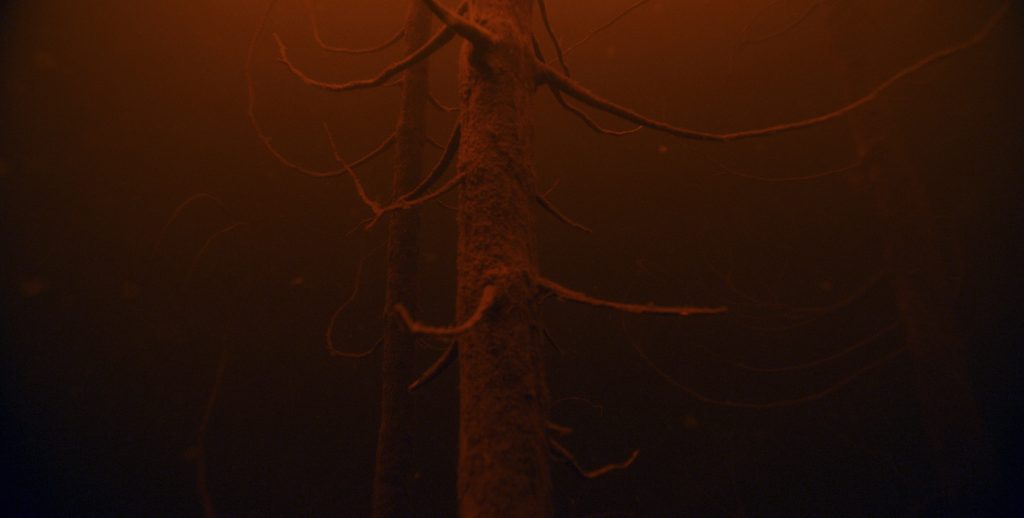 Forêts - Regista: Simon Plouffe - 
 Premio della Giuria del Festival