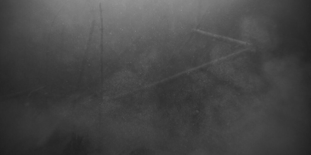 Forêts - Regista: Simon Plouffe - 
 Premio della Giuria del Festival