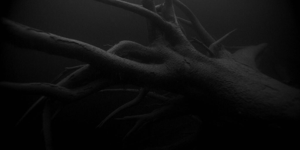 Forêts - Regista: Simon Plouffe - 
 Premio della Giuria del Festival