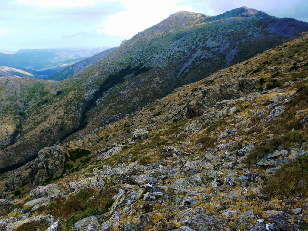 Genna Orisa e Bruncu Spina. Foto Wikimedia Commons @max oppo