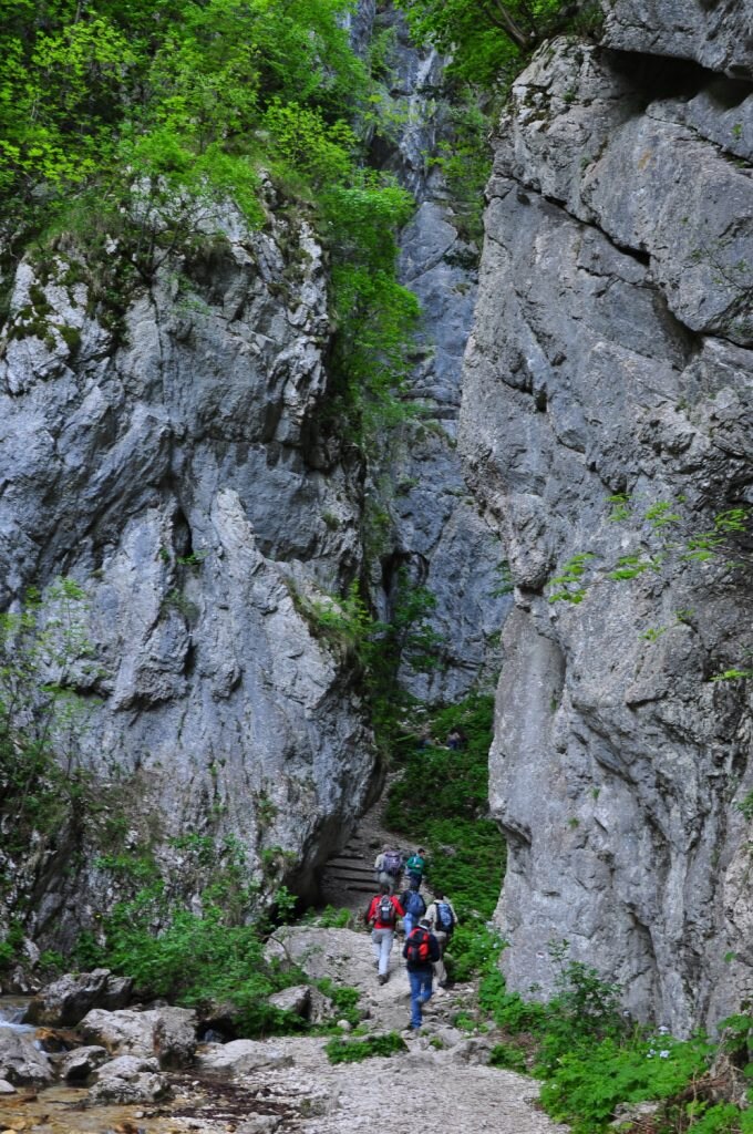 Gole dell