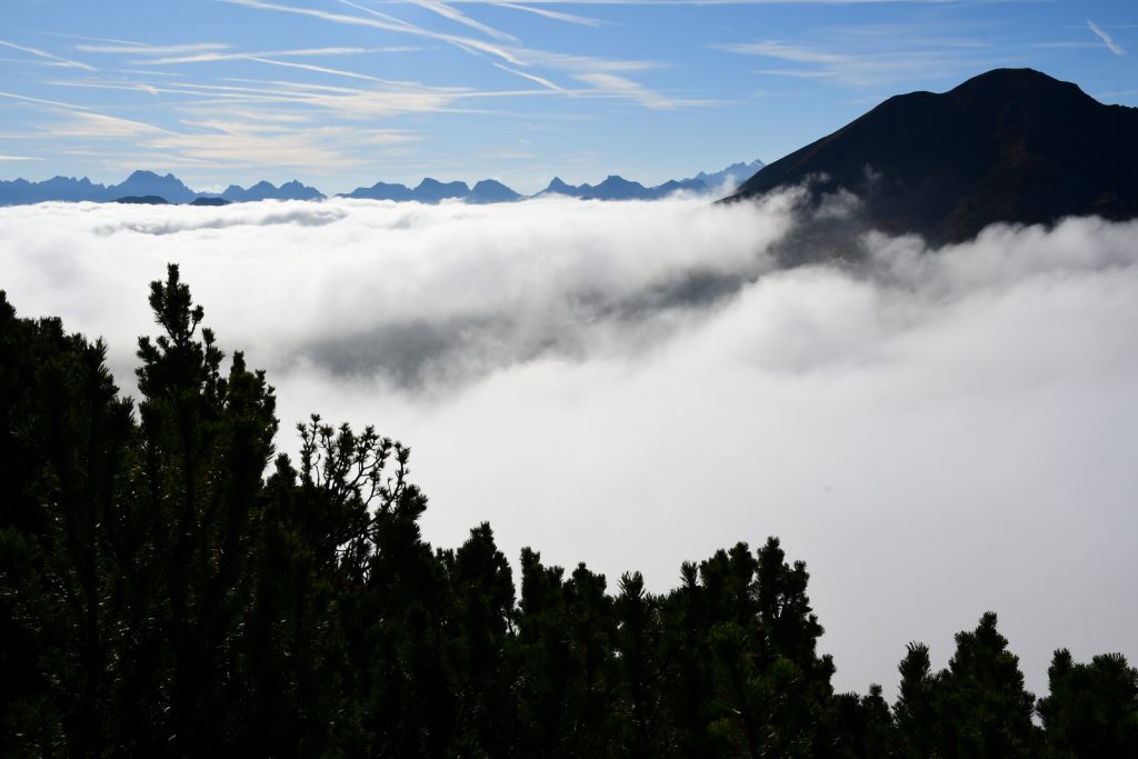 Mughi e nebbia sul Corno Bianco. Foto Stefano Ardito