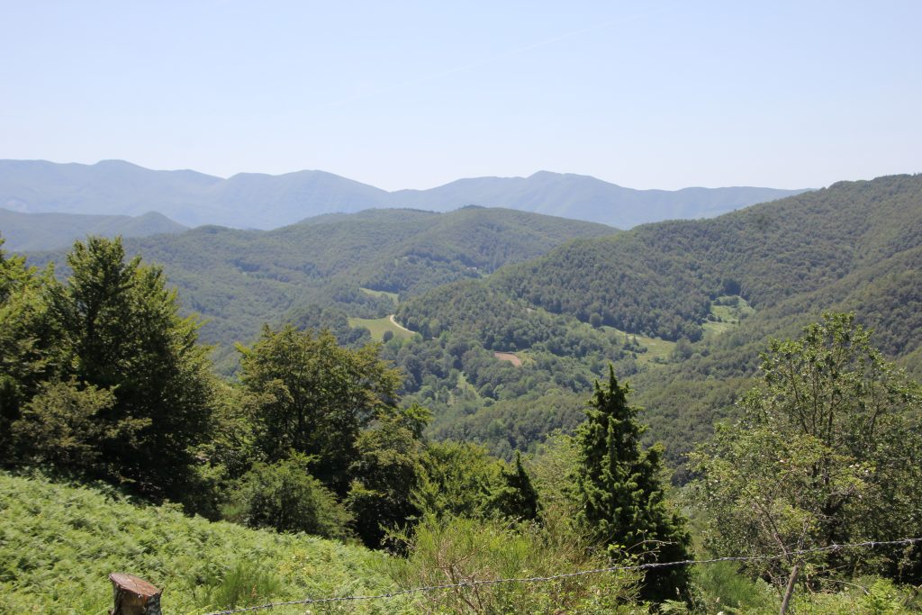 Parco Nazionale delle Foreste Casentinesi. Foto Wikimedia Commons @Gianni Careddu