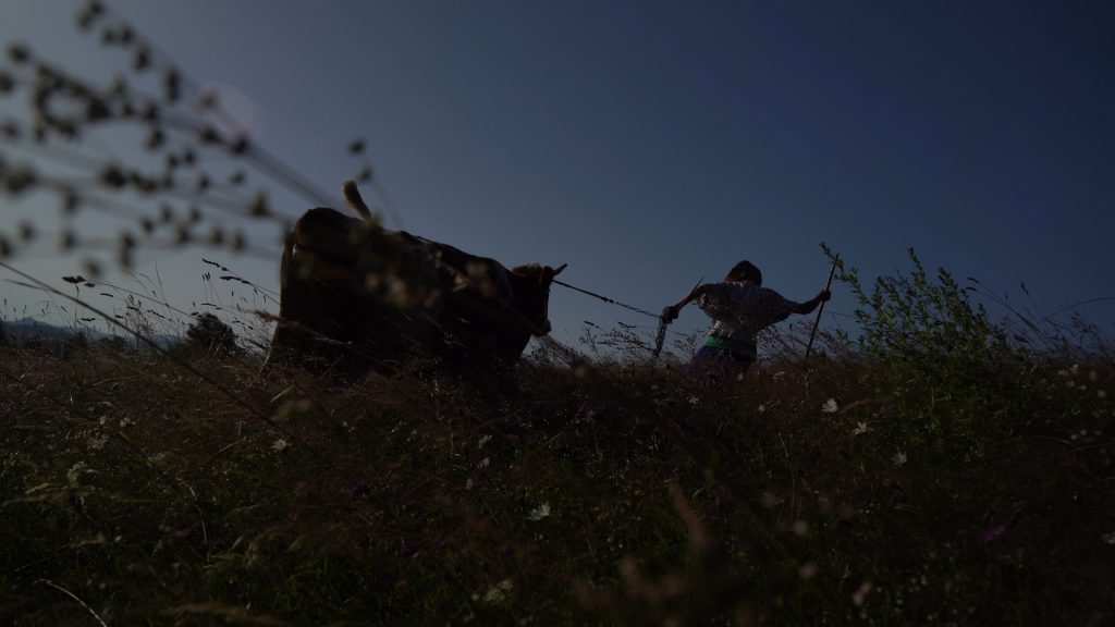 Plai, a Mountain Path - Regista: Eva Dzhyshyashvili -  Menzione d’onore della Genziana d’Oro del CAI