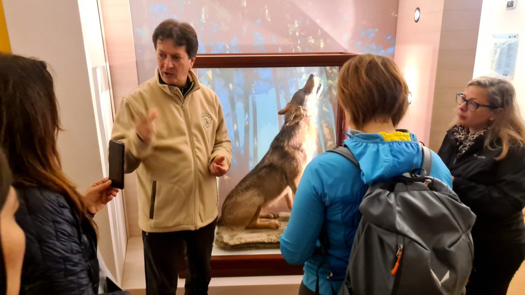 Sila Piccola, centro visitatori del Parco. Foto Stefano Ardito