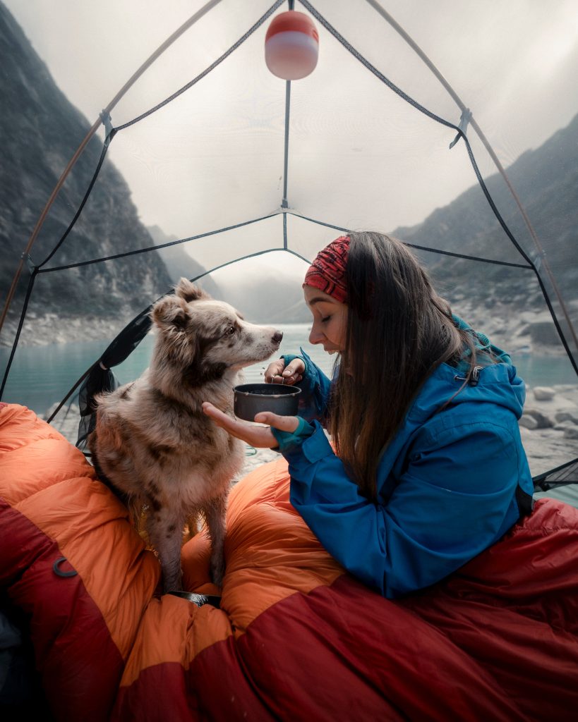 Escursione con il cane. Foto Unsplash @Alexander Paul