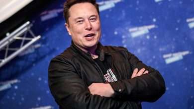 elon musk, everest, spacex, starlink