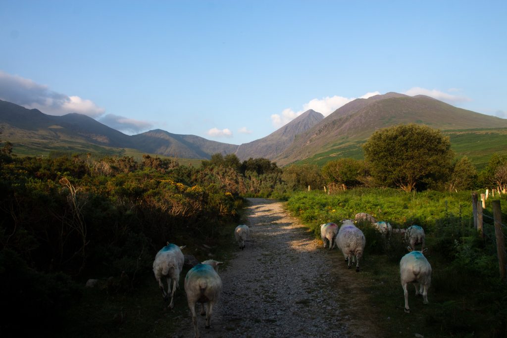 Carrauntoohil. Foto Unsplash @Elle Leontiev