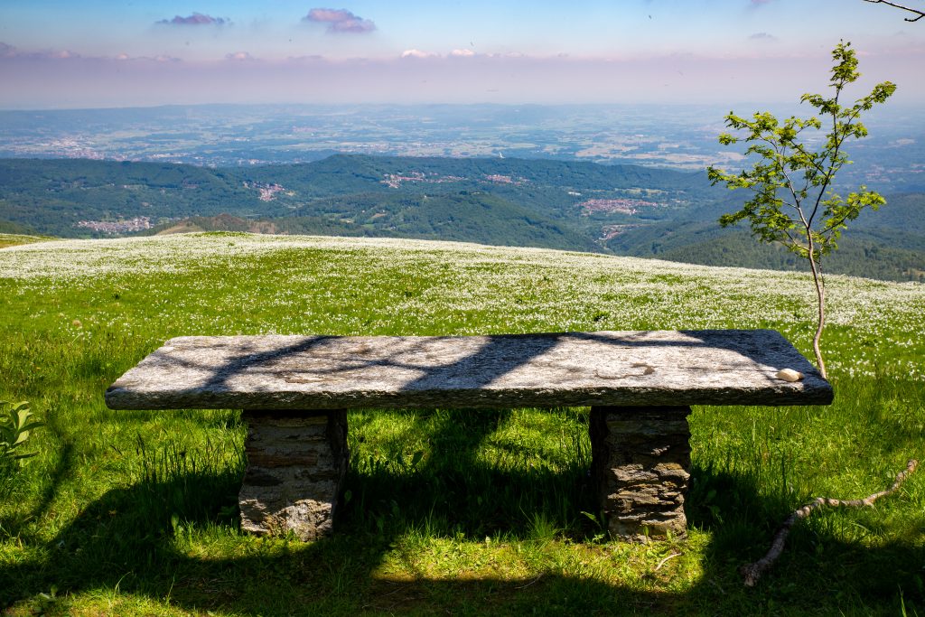 Narcisi a Pian delle Nere. Foto Andrea Mucelli