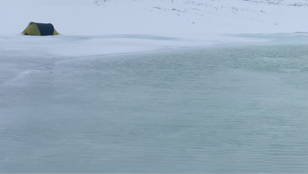 Foto FB Steger Center