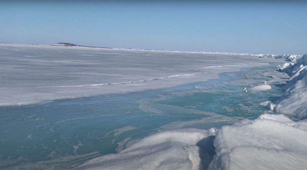 Foto FB Steger Center