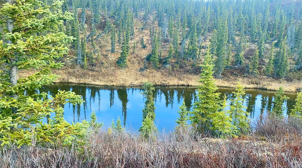 Foto FB Steger Center