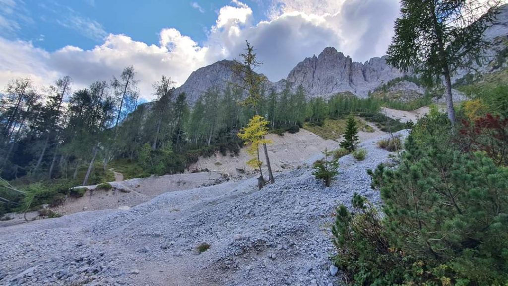 Foto dal gruppo Facebook "Salviamo i sentieri Cai 227 - 228"