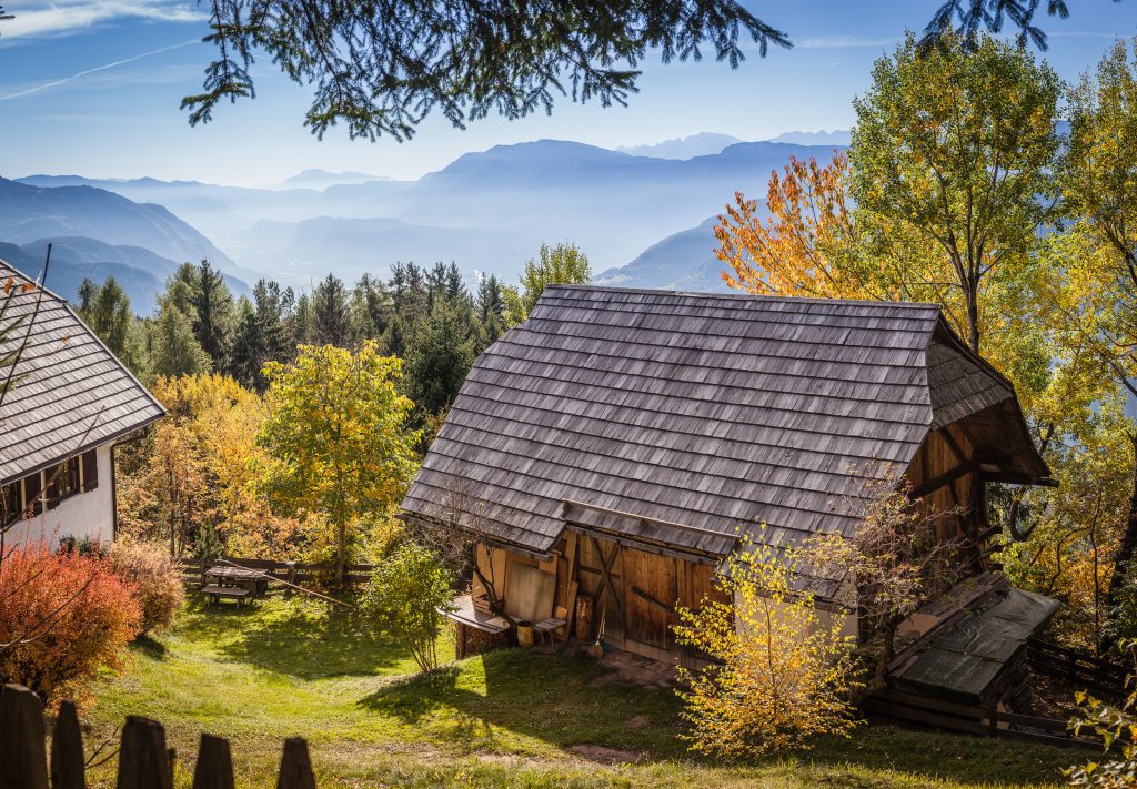 Maso - Foto Adobe Stock