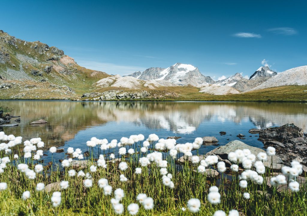 Parco del Gran Paradiso