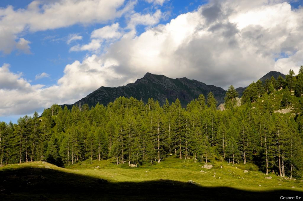 Ultime luci del giorno nella piana di Larecchio. Foto di Cesare Re