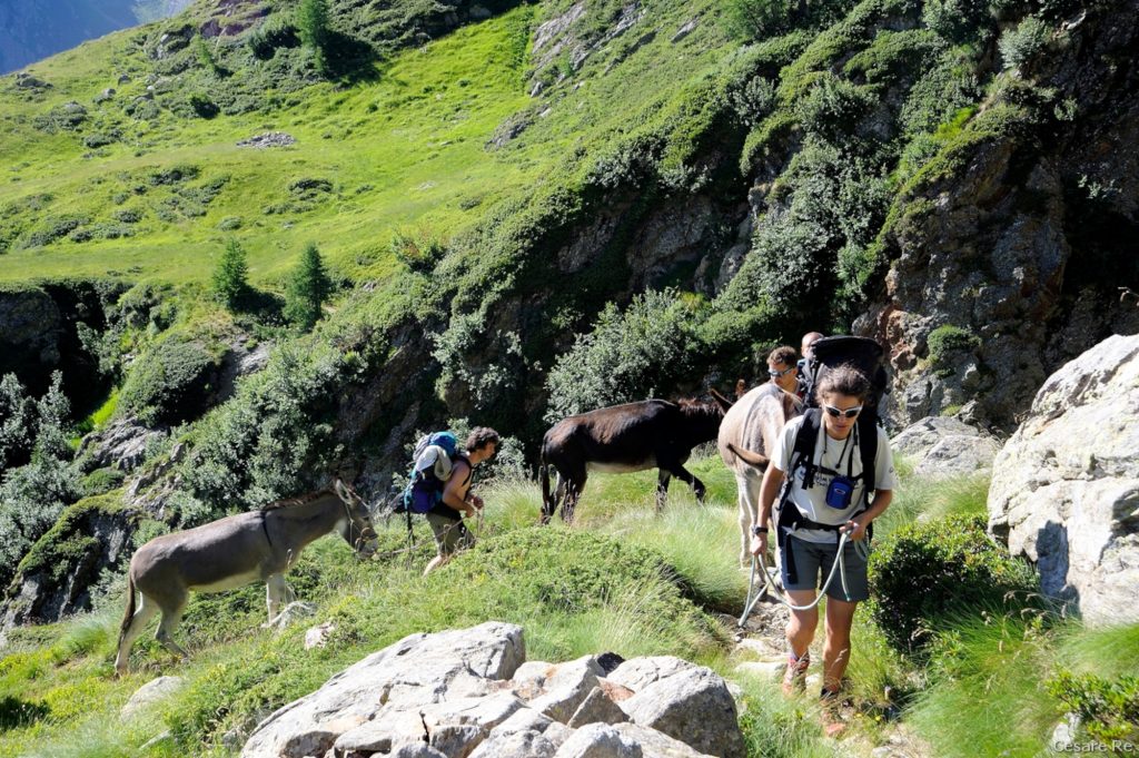 Il sentiero che dall’Alpe Larecchio porta al Rifugio Ospizio Sottile, al confine con la Valdostana Valle del Lys. Foto di Cesare Re