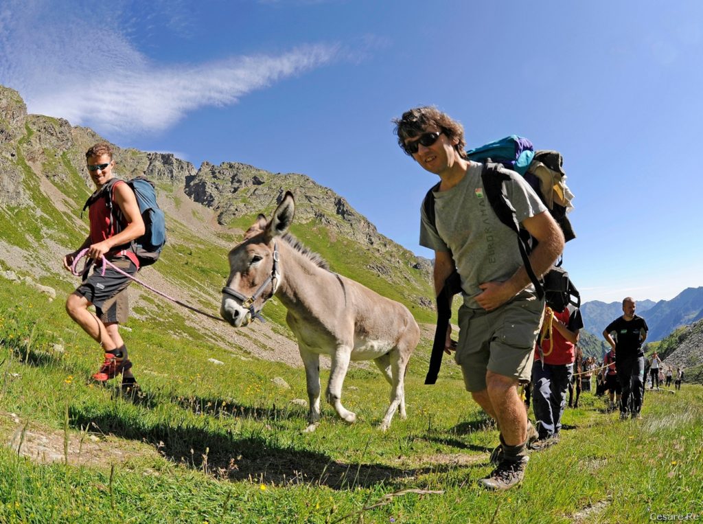 Verso l’Ospizio Sottile. Foto di Cesare Re