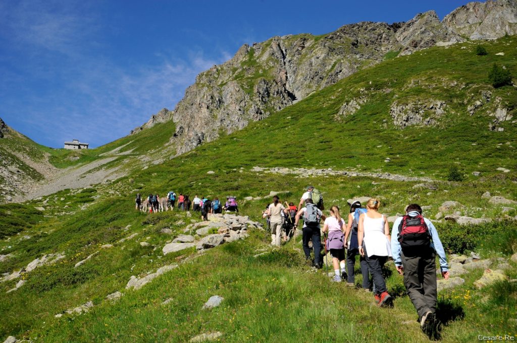 Il gruppo sale l’ultimo tratto per l’Ospizio Sottile. Foto di Cesare Re