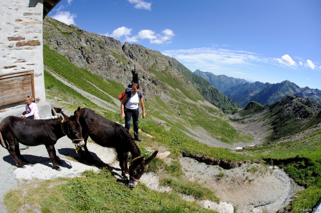 La guida Ivana in discesa dall’Ospizio Sottile. Foto di Cesare Re