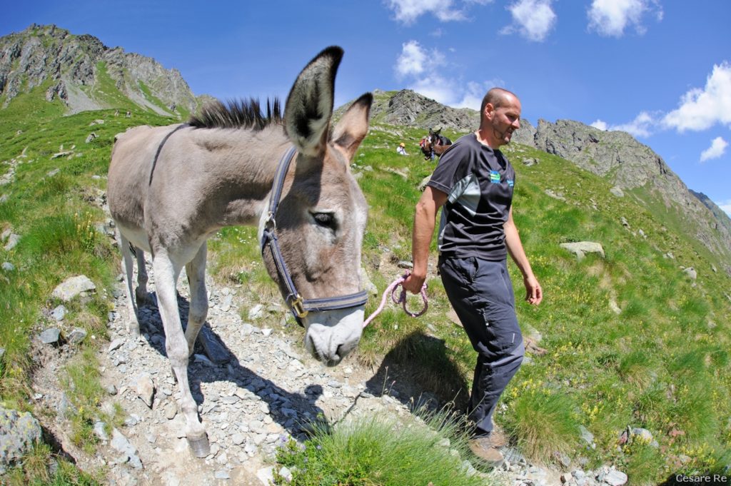 In discesa dal Sottile verso Larecchio. Foto di Cesare Re