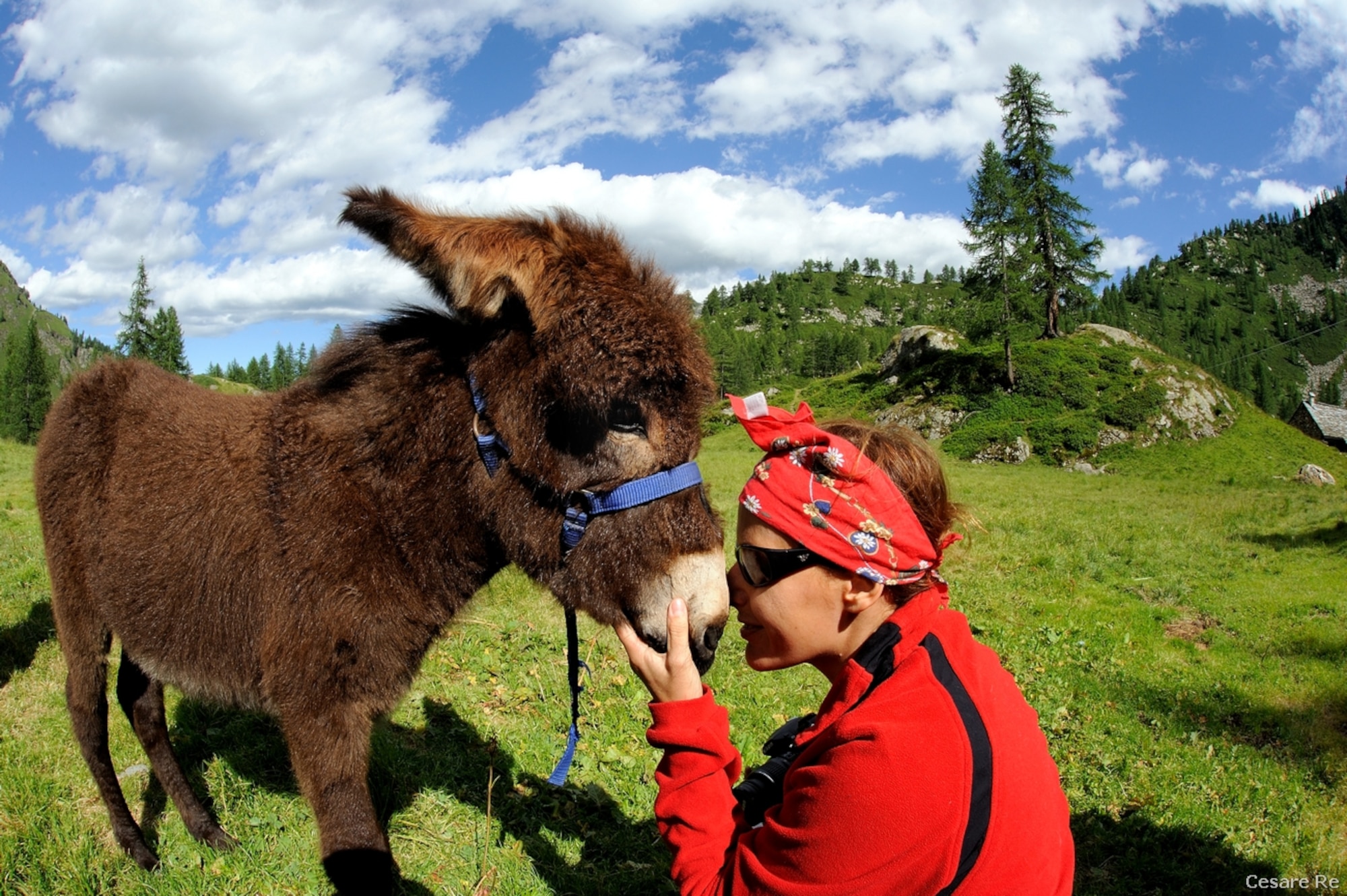 Coccole per Grappa. Foto di Cesare Re