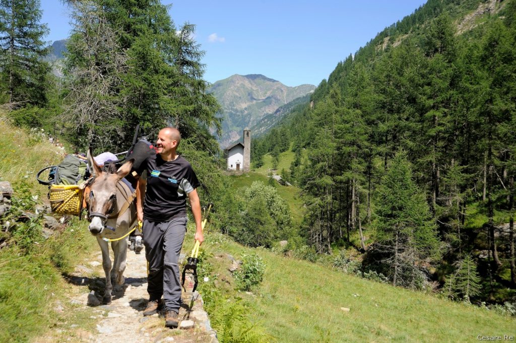 Relax nei prati di Larecchio. Foto di Cesare Re