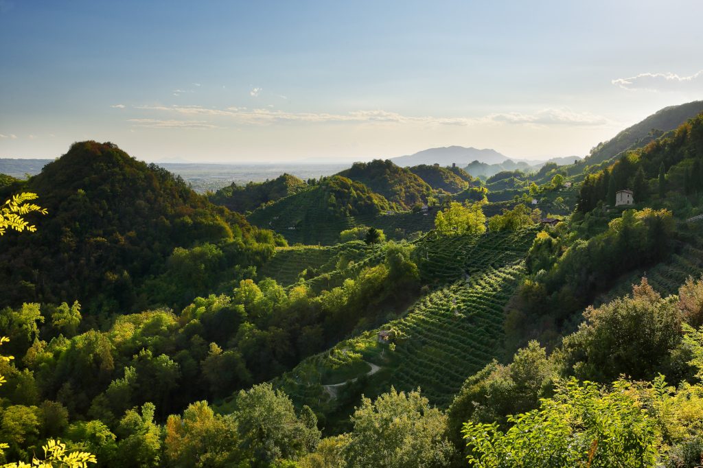 Farra di Soligo Panoramica da Loc Collagù