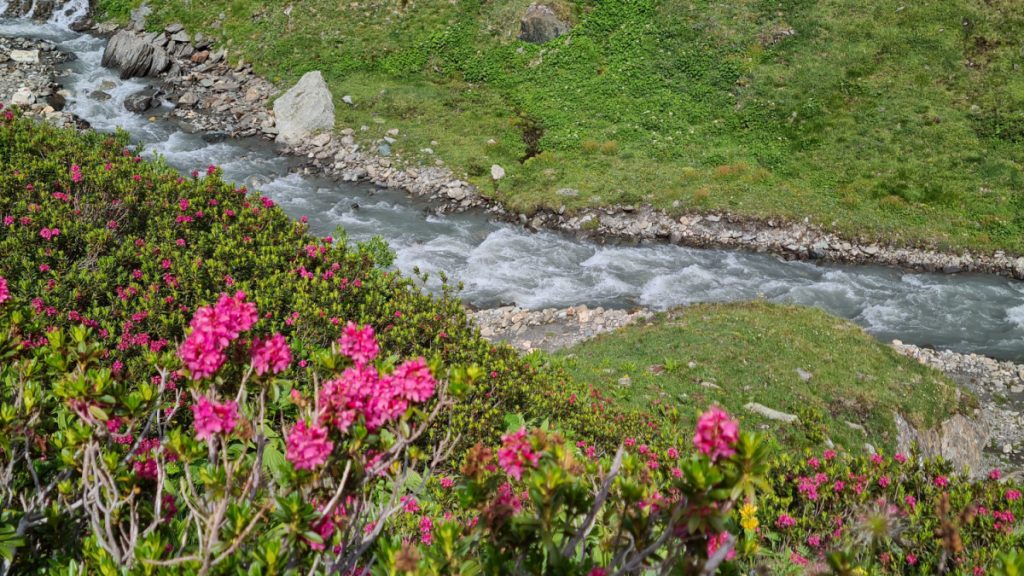 Il torrente dal sentiero per il rifugio Bezzi. Foto di Stefano Ardito