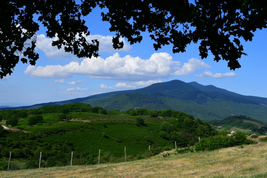 L'Amiata dal Parco Faunistico