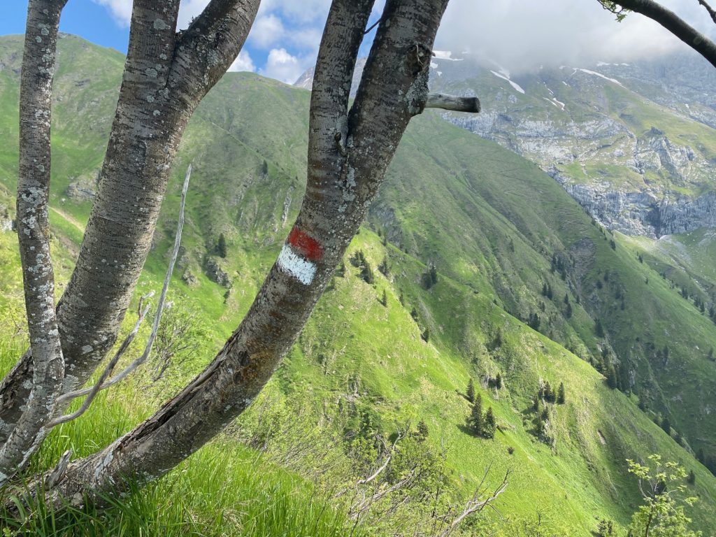 Sentiero delle portatrici carniche, verso cima Ombladet. Foto di Melania Lunazzi