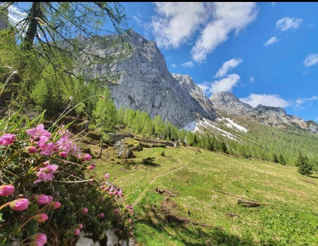 Foto dal gruppo Facebook "Salviamo i sentieri Cai 227 - 228"